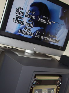 Karaoke monitor